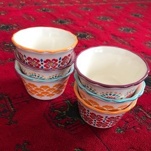 Vintage Pioneer Women Desert Bowl/Ramekin Set